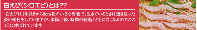 しろえびポテトチップスのこだわり