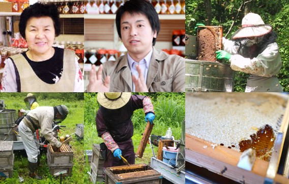 ハニー松本 栃の木の蜜　生産者